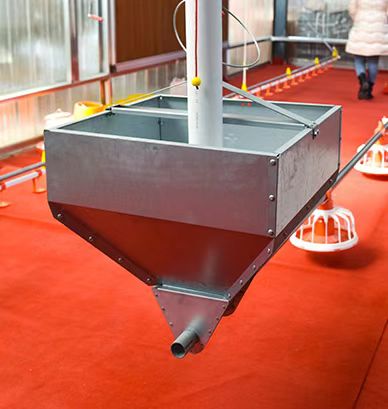 1.5KW HX Poultry Farm Equipment With Hopper Galvanized Pipe