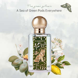 Parfum Unisexe Chinois Niche Fairy Tale 50ml Longue Durée Écologique Parfum Pêre Fraîche Currant Noir Cour Européenne - Product Image 6