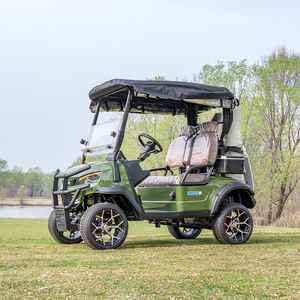 Carrito de Golf Personalizado 2026, Buggy de Golf de 2 Plazas con Batería de Litio, Color Personalizable - Product Image 4