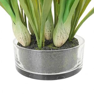 Oh Arts, Nuevo Producto, Flores de Orquídea Artificiales, Orquídea de Tacto Real en Maceta de Vidrio, Orquídeas Simuladas en Maceta para Interiores - Product Image 4