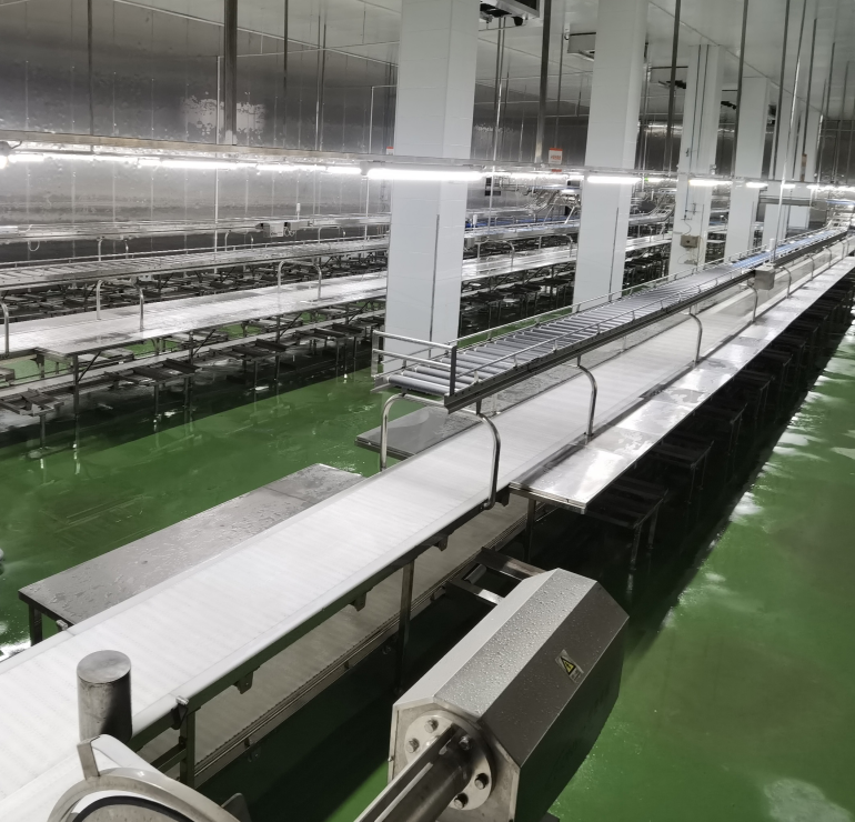 Honyo Industrial Conveyor Equipment for Food