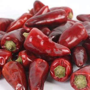 Chile Seco Picante Chino Zi Dan Tou <span class=keywords><strong>La</strong></span>, Chile Rojo Picante con Buen Sabor - Product Image 4