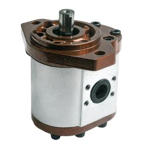 Moteur hydraulique industriel à engrenages 220V 0,75kW 2200 bars certifié ISO9001:2008 pour levage et rotation - Product Image 2