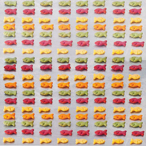 <span class=keywords><strong>Galletas</strong></span> Clásicas con Forma <span class=keywords><strong>de</strong></span> Pez para Niños, <span class=keywords><strong>Galletas</strong></span> Nutritivas con Alto Contenido <span class=keywords><strong>de</strong></span> Calcio, Frutas y Verduras, y <span class=keywords><strong>Galletas</strong></span> <span class=keywords><strong>de</strong></span> <span class=keywords><strong>Queso</strong></span> para Bebés - Product Image 3