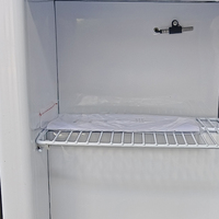 Mini-congélateur commercial Vanace de 21 litres (-18 à -21 degrés) avec compresseur pour crème glacée – Fournisseur chinois