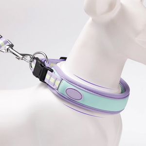 Verano transpirable moda nuevo Color personalizado choque malla Collar perro estampado logotipo para perros pequeños medianos - Product Image 6