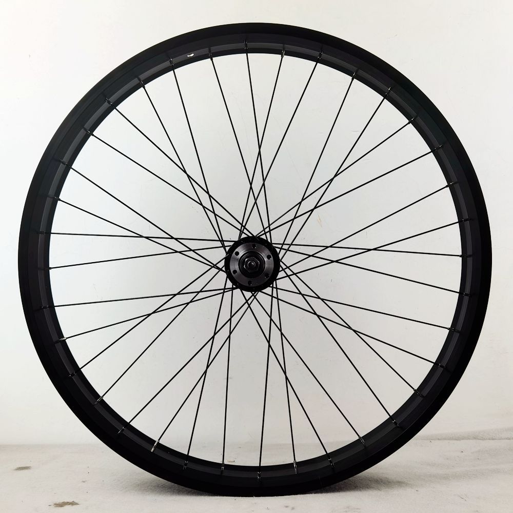 204 Roue avant complète 20 x 4 - 80 mm de large | UD-23