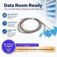 Kabel Patch Fiber Optik Model Grosir 12 Core 09mm Pigtail SC/UPC Data Room SC Interface Bundle Cina