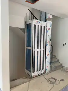 Ascenseur domestique de maison de 6 personnes ascenseur résidentiel hydraulique petits ascenseurs de maison
