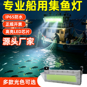 Lampe de pêche LED 120lm W, couleur verte, étanche IP65, en alliage d'aluminium, durée de vie de 50000 heures - Product Image 2