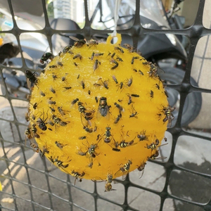 Garden <b>Pest</b> <b>Control</b> Yellow Sticky Ball Trap Fruit Fly Catcher Outdoor Insect Trap Strong Adhesive - Product Image 2