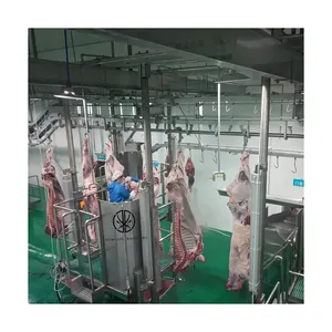 New Technology Camel Slaughterhouse Slaughtering Plant Apron Cleaning Machine Use In Cow Stunning Equipment Design