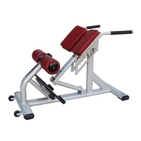 Nouveau banc d'exercice abdominal Cybex en acier de couleur commerciale, chaise romaine, extension dorsale pour l'entraînement physique, en vente