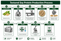 Poudre de protéine de soja texturée Tianjia en vrac 50% 60% 70% Protéine végétale Casher Halal pour la production d'aliments végétaliens sains