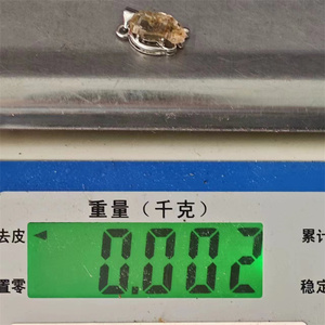 Grosir liontin kuarsa Enhydro emas kristal kualitas tinggi liontin Quartz Petroleum Quartz reaktif UV untuk hadiah - Product Image 6