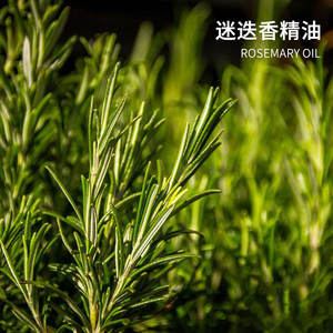 Lotion Naturelle et Pure à l'Huile de Romarin et à l'Huile de Ricin pour la Croissance des Cheveux, Traitement du Cuir Chevelu à l'Huile Essentielle Anti-Chute et pour la Repousse des Cheveux - Product Image 4