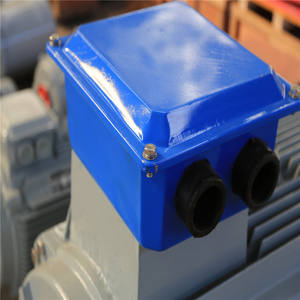 Мини-гидроэлектрический генератор с постоянными магнитами, 45 кВт, 300 об/мин, низкооборотный, 3-фазный, переменного тока, с двигателем и высокой эффективностью - Product Image 6