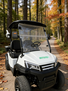 Buggy de chasse électrique 2 places personnalisable, certifié CE, pour le camping en extérieur et les terrains de golf hors route - Product Image 1