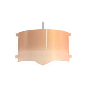 Lentille résistante à la chaleur Korea Woosung sitek PES (246x100x59mm) : Conçue sur mesure pour les applications à haute température - Product Image 2