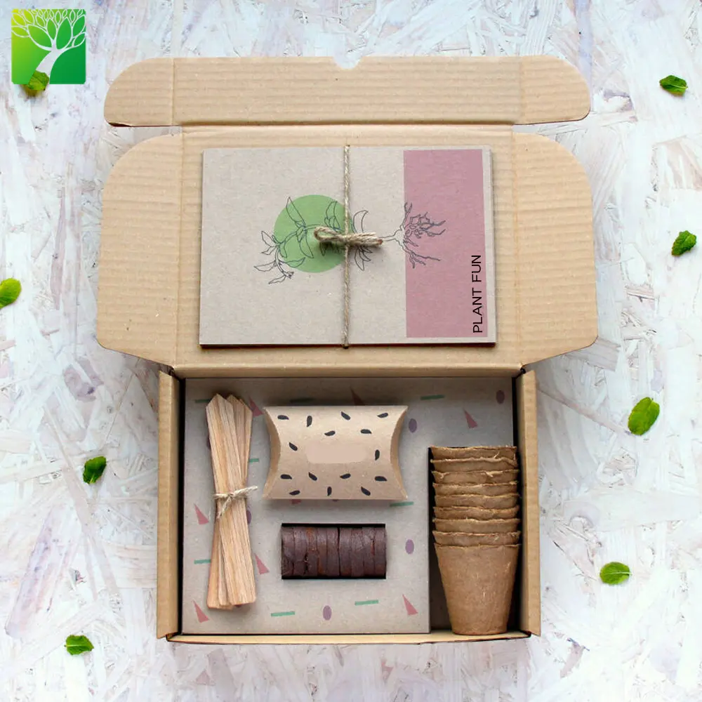 Vente chaude votre propre basilic Trio plante outil jardin ensemble d'outils de culture Kit herbe kit de culture personnes culture en intérieur