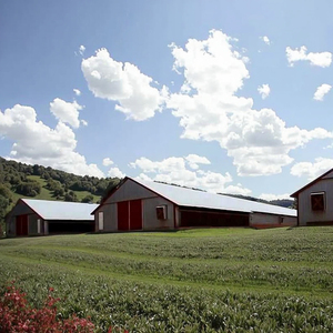 Prefabricated Modern Galvanised Steel Frame Building <strong>Design</strong> For Chicken House Poultry Farm Shed - Product Image 2