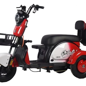 Bicicleta Eléctrica de 3 Ruedas con Motor de 800W, Carrocería Cerrada, Voltaje de 60V o 48V para Uso de Pasajeros - Product Image 6