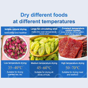 Máquina Deshidratadora OCEAN para Camomila, Ciruela, Higo, Hongo Negro, Alimentos para Animales, Carne de Cerdo, Pescado y Camarones en Venta - Product Image 5