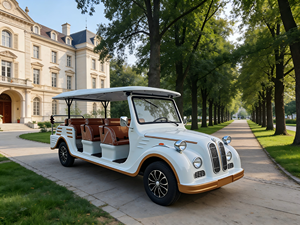 Véhicule Électrique Touristique Rétro Vintage 5-11 Places Moteur Puissant Longue Autonomie Qualité Stable Large Application Vente Chaude - Product Image 1