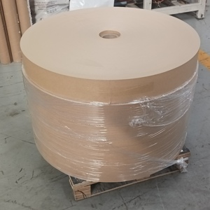 High Quality Food Grade PE Coated <b>Paper</b> Cup Bottom Roll Custom GSM <b>Biodegradable</b> Cup Base <b>Paper</b> - Product Image 4