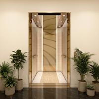 Ascenseurs pour passagers en acier inoxydable 304, finition dorée, pour villas, hôtels, appartements, ascenseurs à traction modernes pour résidences