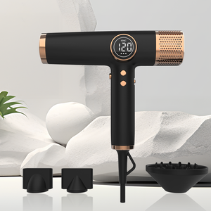 Asciugacapelli Professionale ad Alta Velocità con Motore AC 1600W per Saloni e Hotel, Asciugatura Rapida - Product Image 2