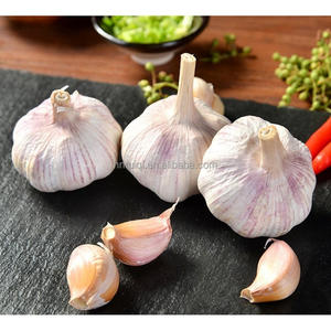 שום קציר מכונה טרי שום סולו טרי שום סולו לחקלאות - Product Image 3