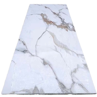 NUEVOS Paneles de Pared para Ducha de PVC WPC, Diseño Tradicional, Ecológicos, Resistentes al Fuego y al Agua, Insonorizantes y Aislantes del Calor, para Comercios