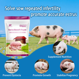 Acondicionador Reproductivo para Cerdas CY Swine Benefit Repro: Alivia el Estreñimiento y Promueve la Celo - Product Image 3