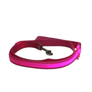 Guinzaglio in Nylon leggero a LED in Nylon da 2.5cm con motivo stampato 120cm con decorazione a nastro moda - Product Image 5