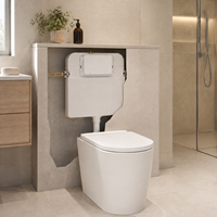 Citerne dissimulée mince pour toilettes sur pied avec plaque de chasse double mécanique