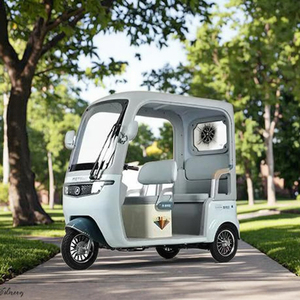 Tricycle électrique à toit ouvert Metropolis, moteur 60 volts 650W, 3 places, certifié CCC, matériau en acier, capacité de charge utile - Product Image 6