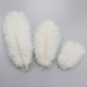 Grand festival de carnaval blanc plumas en plumes d'autruche de haute qualité 15-65CM pour les centres de table de mariage de noël - Product Image 2