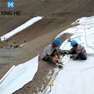 Géotextile non tissé en polyester HDPE/PP de 200g 300g avec design industriel et bonne maniabilité pour une construction rapide sur site - Product Image 1