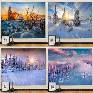 Art Decor Naturel <span class=keywords><strong>Neige</strong></span> Paysage Paysage Série Brossé Tissu Court En Peluche Haute Qualité Tapisseries En Gros Cadeau De Vacances - Product Image 5