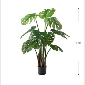 공장 직접 가격 판매 미니 분재 냄비 식물 가정 정원 장식용 인공 분재 나무 식물 Schefflera - Product Image 5