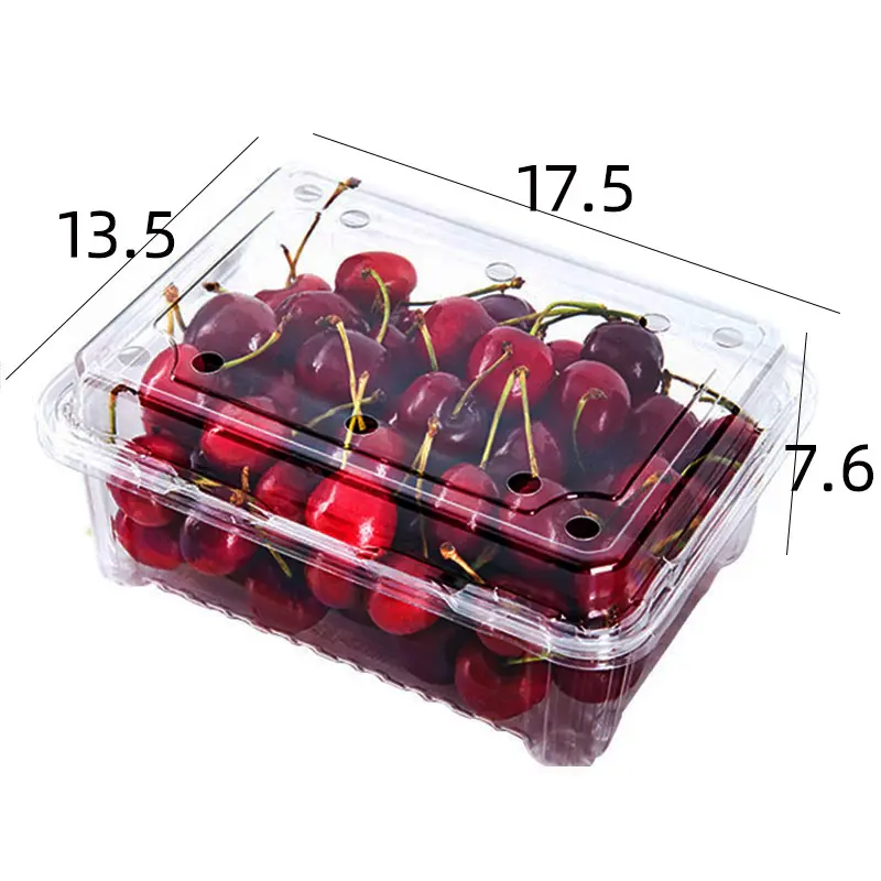 Fabricante atacado caixa de embalagem de frutas 500g recipiente de alimentos frutas vegetais caixa de concha transparente para supermercado