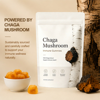 Gummies Chaga pour adultes, faibles en sucre, antioxydants et favorisant un métabolisme sain du glucose, marque privée OEM