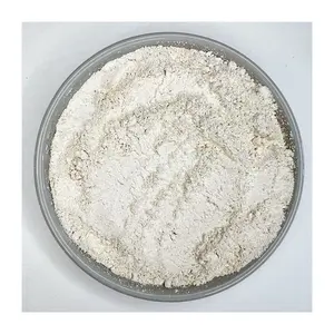 Natural Cyanotis Arachnoidea Extract Beta Ecdysterone Powder 98% beta ecdysterone