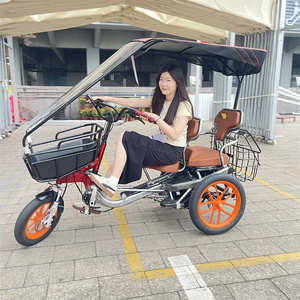 Vélo électrique à trois roues pour adultes, alimenté par batterie au lithium, frein à disque 500W, roues de 12 pouces, avec assistance au pédalage à 3 niveaux - Product Image 1