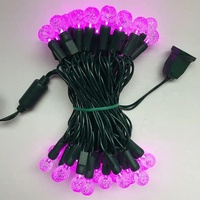 Handels übliche G12 LED Weihnachts beleuchtung im Freien wasserdichte Berry String Licht für Kranz Weihnachts baum Urlaub Dekoration