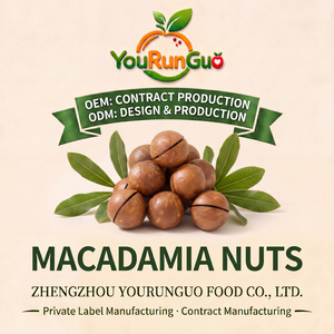 Noci di Macadamia Essiccate OEM in Guscio, Nocciolo Cremoso e Burroso, Snack Tropicale Premium, Confezione Regalo 5kg Grado A - Product Image 6