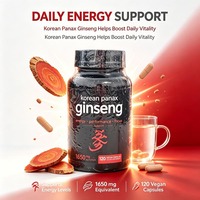 Kapsul Ginseng Ginseng Merah Korea Energi Ginseng Dewasa Akar Ginseng OEM ODM Label Pribadi Mendukung Fokus dan Performa.