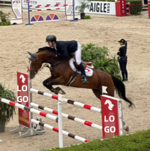 Spectacle équestre écologique de style occidental Obstacles de saut d'obstacles Poteau en PVC léger personnalisable Sauts de <span class=keywords><strong>cheval</strong></span> en aluminium - Product Image 6