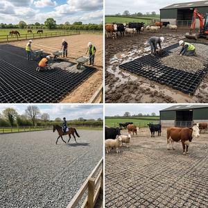 新型環境対応<span class=keywords><strong>HDPE</strong></span>プラスチック製馬用パドックグリッド排水斜面地盤補強グリッド - Product Image 6